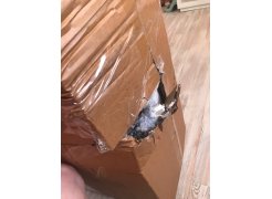 Компьютерное кресло Kolson whitе фото покупателя 9