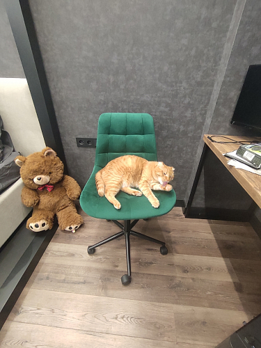 Компьютерное кресло Честер латте / черный фото покупателя 58