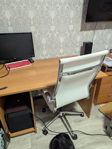 Компьютерное кресло Reus белая сетка / хром фото покупателя 72