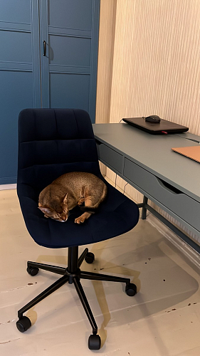 Компьютерное кресло Честер кирпичный / черный фото покупателя 16