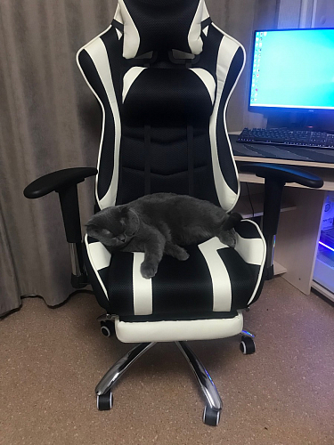 Компьютерное кресло Kano 1 cream / black фото покупателя 156