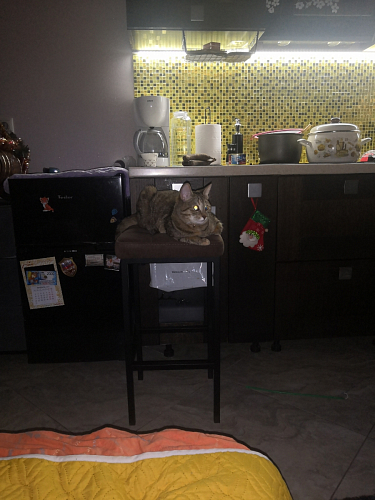 Барный стул Лофт линкольн белый / белый матовый фото покупателя 69