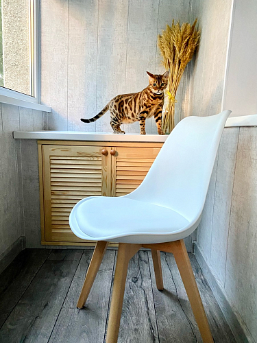 Деревянный стул Bonuss black / black фото покупателя 1