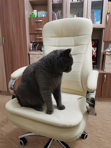 Компьютерное кресло Tomar коричневое фото покупателя 60