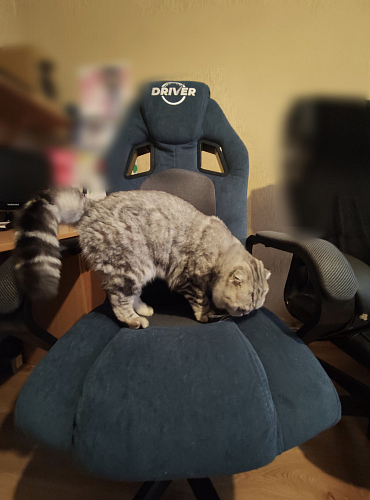 Компьютерное кресло Driver/Драйвер кожзам черный / ткань черный фото покупателя 108