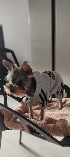 Стул One PC-015 белый фото покупателя 53