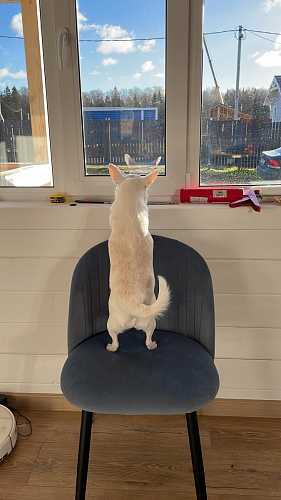 Стул на металлокаркасе Gabi 1 dark gray / black фото покупателя 317