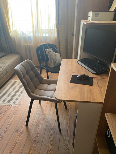 Деревянный стул Челси 360 светло-серый (zd 960) / светлое дерево фото покупателя 174