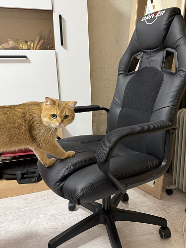 Компьютерное кресло Driver/Драйвер кожзам черный / ткань черный фото покупателя 144