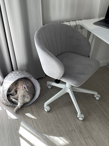 Компьютерное кресло Пард confetti silver серый / черный фото покупателя 97