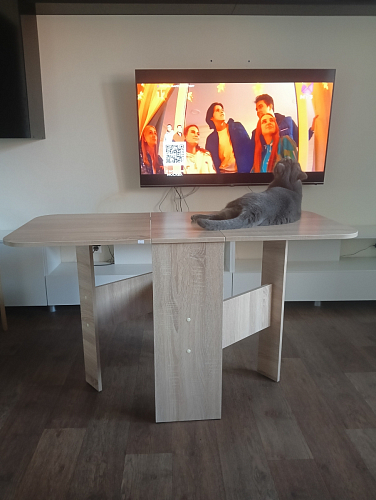 Стол-книжка Мечта венге  - Уцененный экземпляр фото покупателя 43