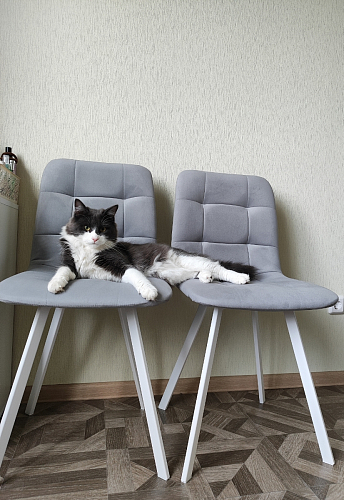 Стул на металлокаркасе Чилли светло-серый / белый каркас фото покупателя 447