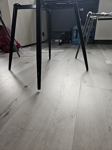 Комплект стульев Седа К 2 шт латте / черный фото покупателя 124