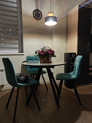 Стул на металлокаркасе Чилли зеленый / белый каркас фото покупателя 710