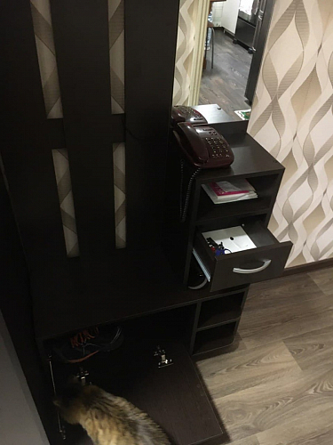 Прихожая Мила ясень шимо фото покупателя 84