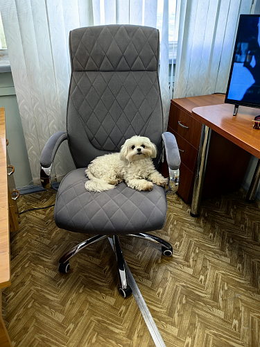 Компьютерное кресло Monte dark grey фото покупателя 1