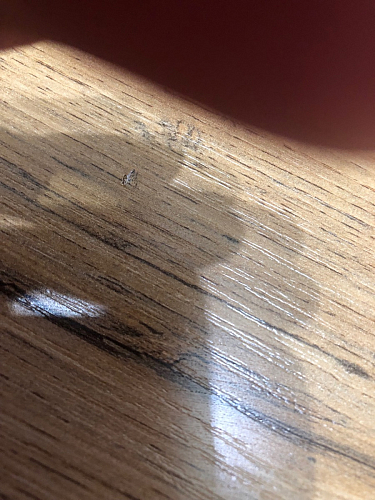 Стол раскладной Лота Лофт 120 25 мм юта / черный матовый фото покупателя 168