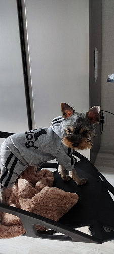 Стул One PC-015 черный фото покупателя 54