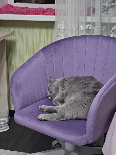 Компьютерное кресло Тибо 01 светло-коричневый / черный фото покупателя 155