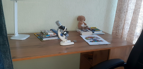 Письменный стол Фред Лофт черный матовый / дуб делано темный фото покупателя 2