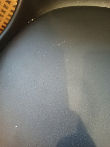 Стул Bonuss велюр coral фото покупателя 6