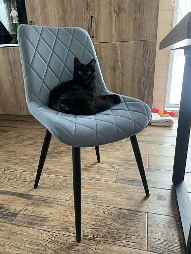 Стул на металлокаркасе Fox light blue / black фото покупателя 1