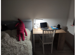 Письменный стол Битти Лофт 116х60х75 дуб делано темный / черный матовый фото покупателя 96