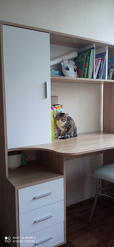 Стол компьютерный КСТ-16 бетон / белый фото покупателя 138