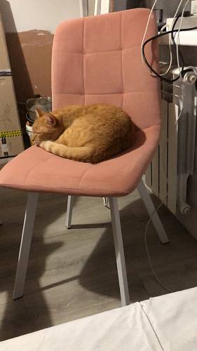 Стул Bruk purple фото покупателя 7