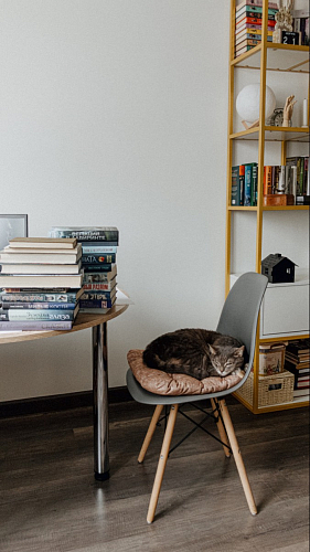 Стул Eames PC-015 зеленый фото покупателя 164