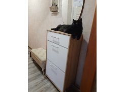 Обувница ТП-2 венге / беленый дуб фото покупателя 4