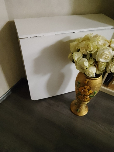 Стол-книжка СтК7 белый фото покупателя 87