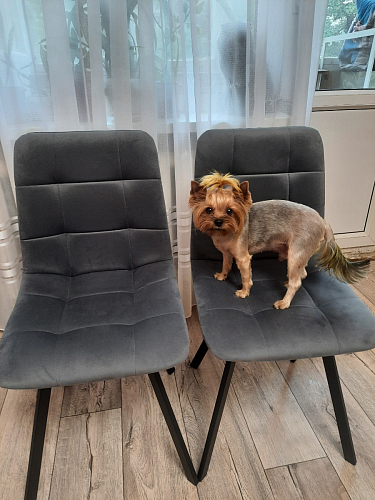 Стул на металлокаркасе Чилли синий / белый фото покупателя 730