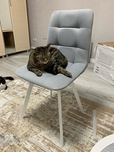 Стул на металлокаркасе Чилли синий / белый фото покупателя 928