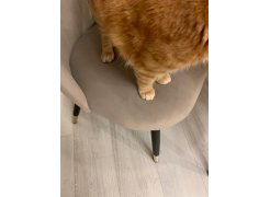 Стул на металлокаркасе Gabi gray / black фото покупателя 670