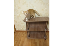 Стол-книжка с полками венге фото покупателя 2