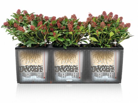 Кашпо Lechuza 15385 CUBE Cottage 40 мокка